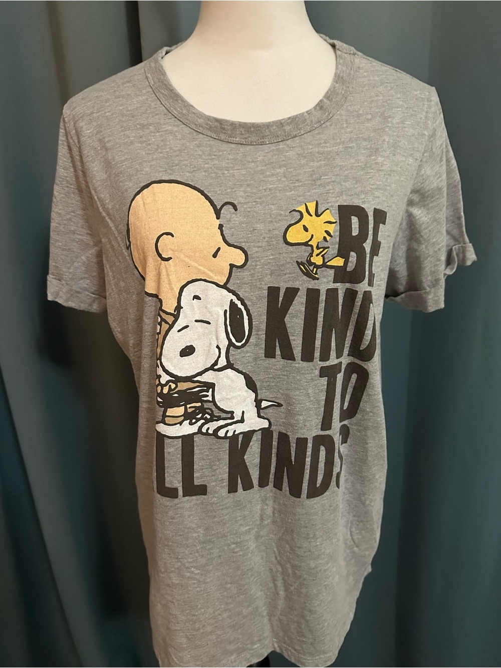 Peanuts Snoopy Charlie Brown Woodstock Be Kind All Kinds T Shirt XXL Gray